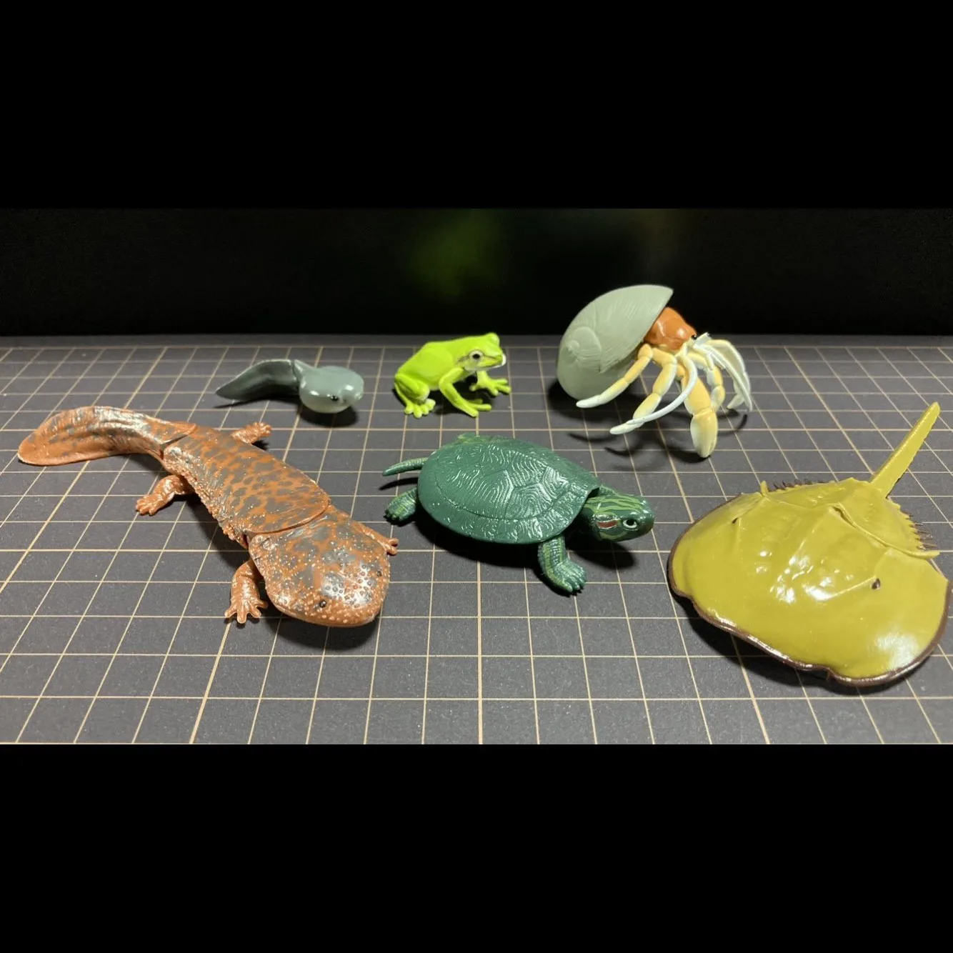 Фото Реалистичные фигурки водных животных Gashapon: Лобстер, Краб-отшельник, Краб, Краб-подкова, Лягушка — Коллекционные модели игрушек №3