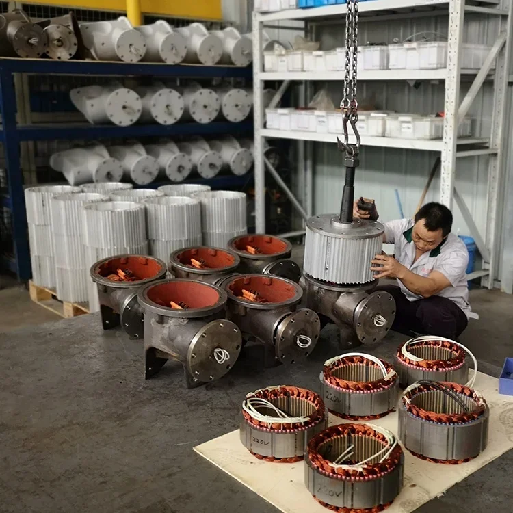 Низкоскоростной высокоэффективный 30 лет гарантии 10 кВт 20 бесплатный генератор