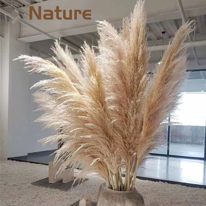 

2024 big size Pampas Grass Bouquet Wedding home Decor 130cm Dried 10/20/30pcs Dried Flowers Decoration Artificial Flowers
