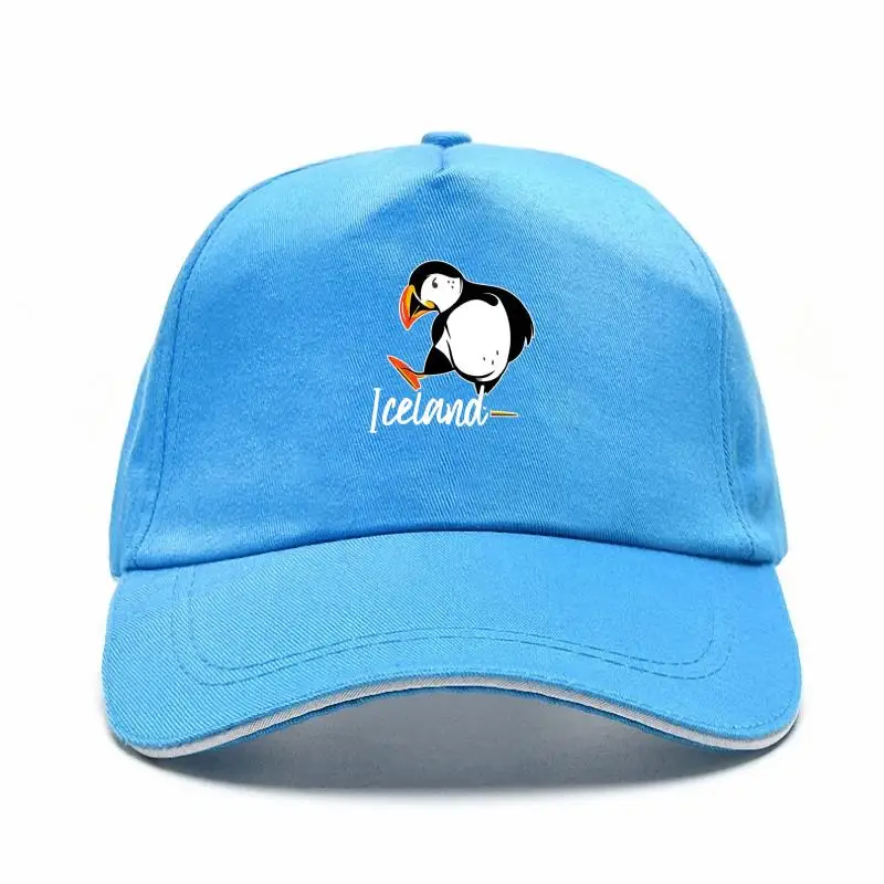 

Iceland Bill Hats With Puffin Bird Baseball Cap For Men, Color Black, Navy, Adjustable Flat Brim Harajuku Hip Hop Baseball Caps