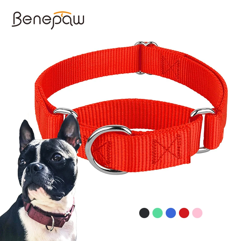 

Прочный нейлоновый собачий ошейник Benepaw Martingale, Регулируемый мягкий удобный ошейник для щенков, для маленьких и больших собак, контроль транспортировки