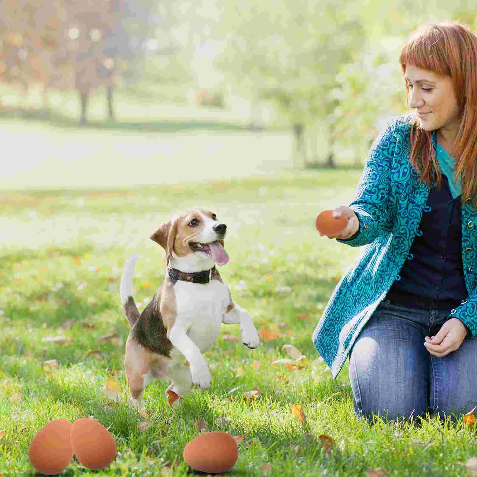 Жевательные игрушки для домашних животных прорезывающие зубы собак типы