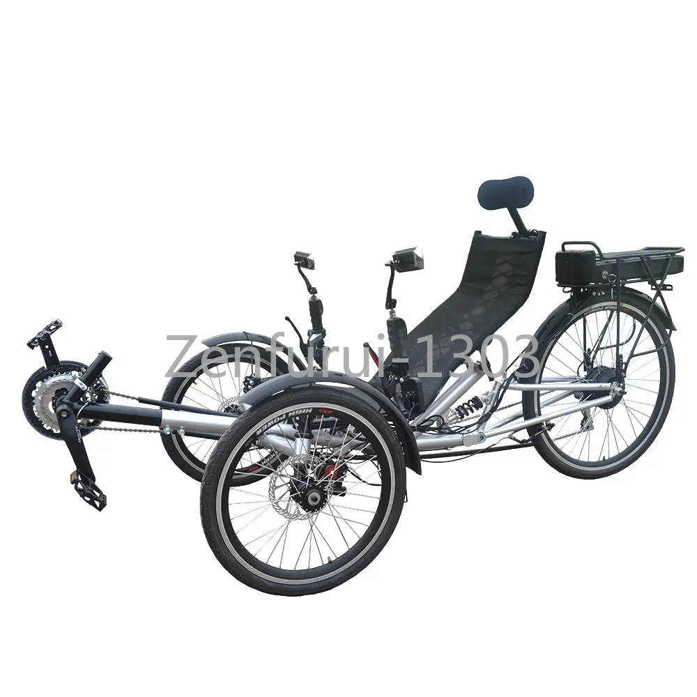 Adult 250 Watt Two Front Wheels One Rear Wheel Electric Recu