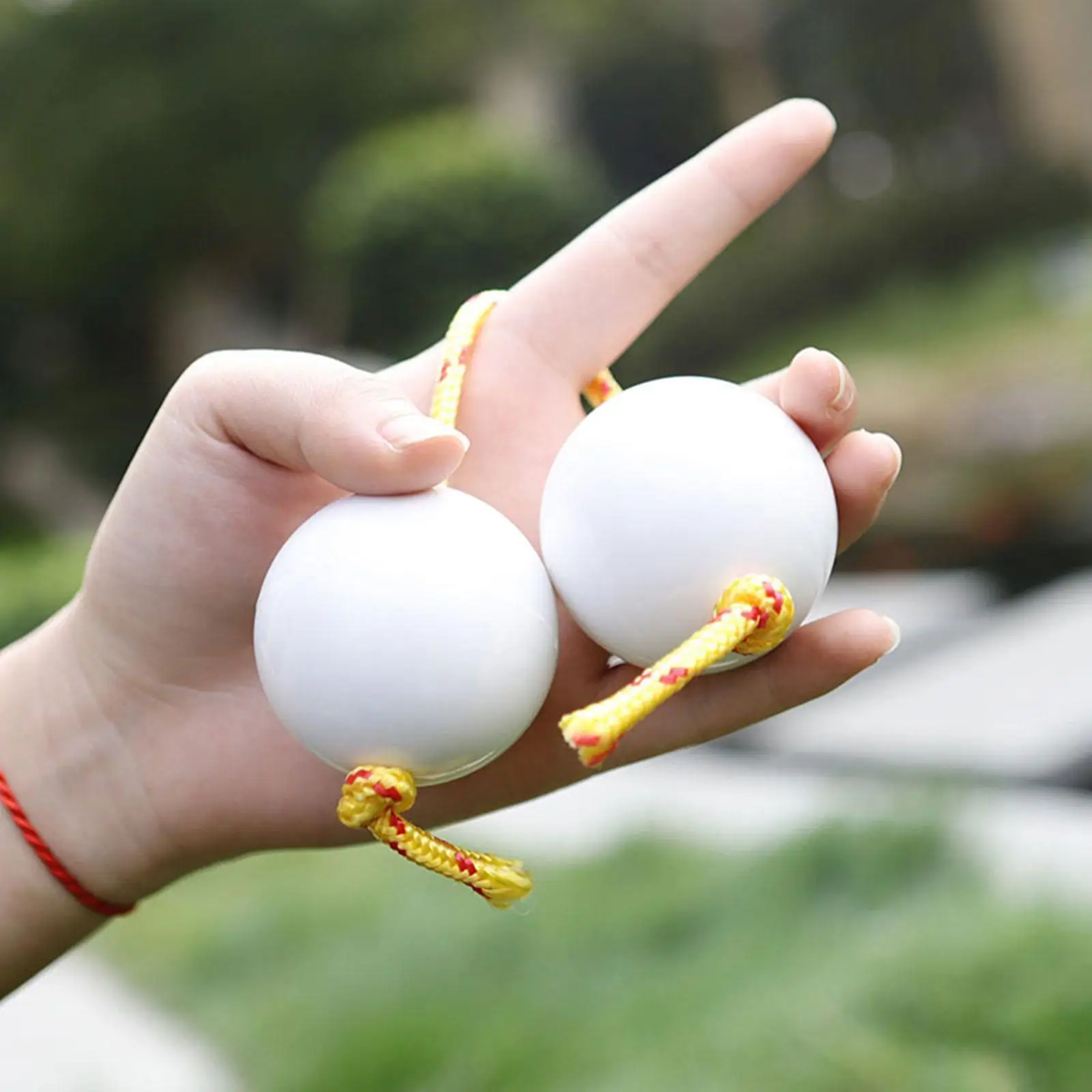 Рисунок 6 - Африканский шейкер