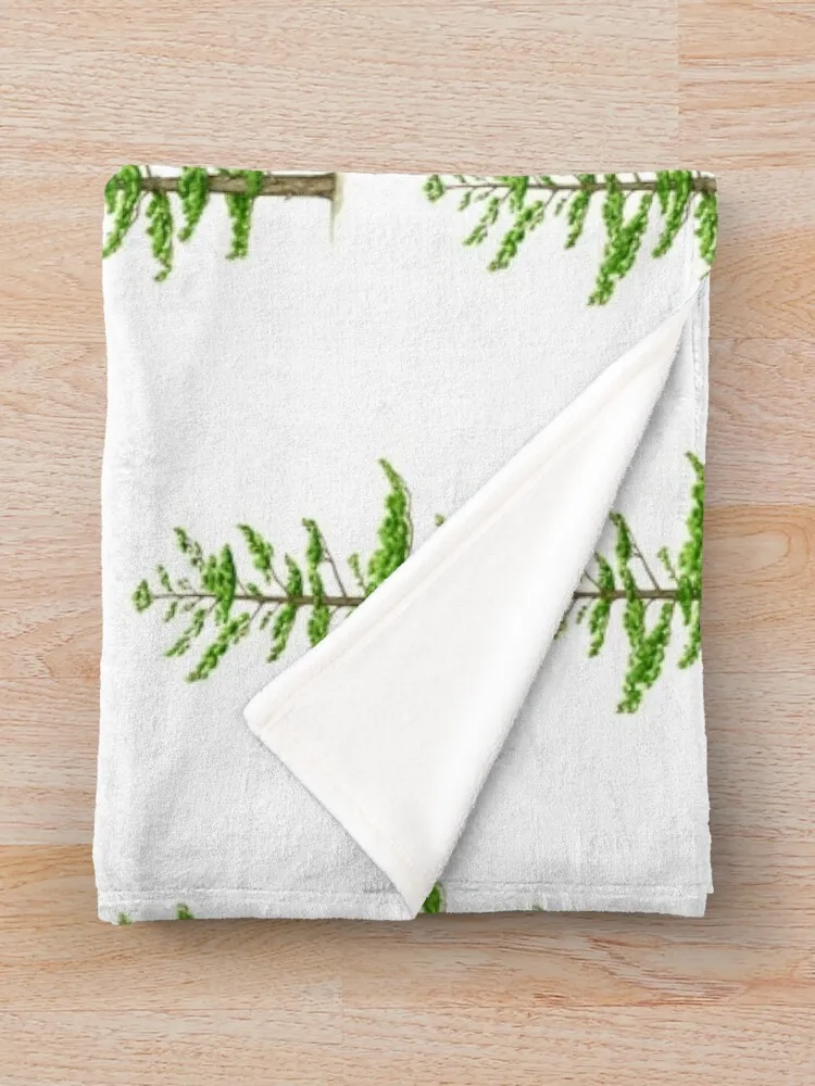 Одеяло из белой сосны (Pinus strobus) Фланелевое одеяло для дивана Декоративный диван