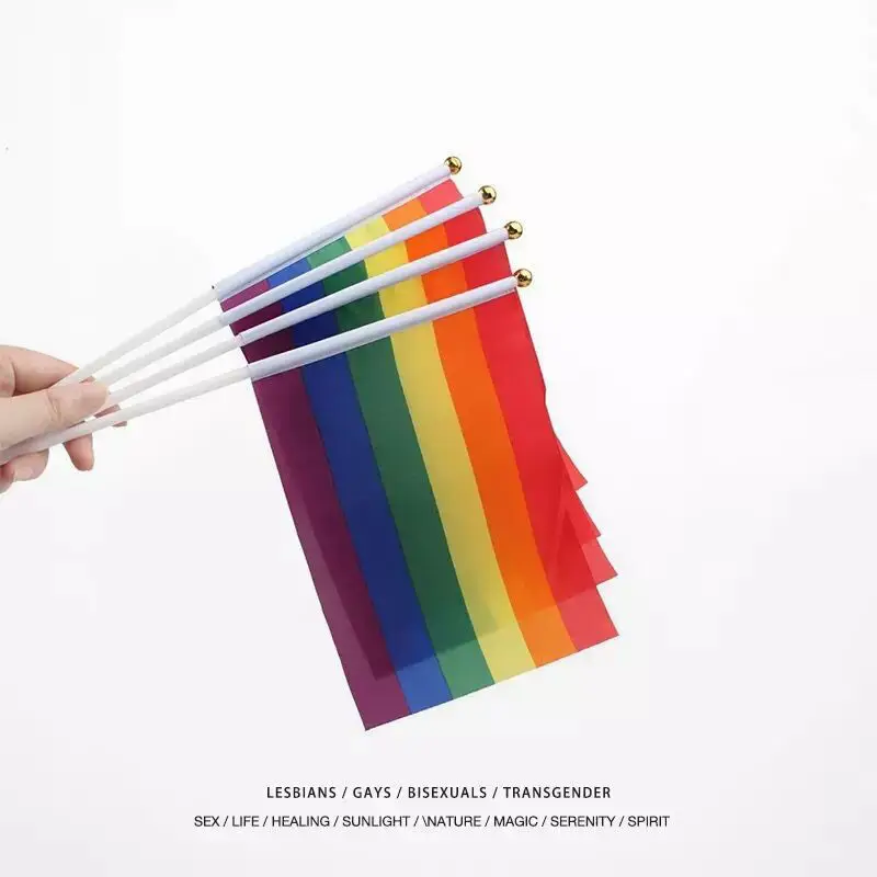 14X21cm Holding Rainbow Flag LGBT Hand Waving Gay Pride Festive Home Decor Party |
