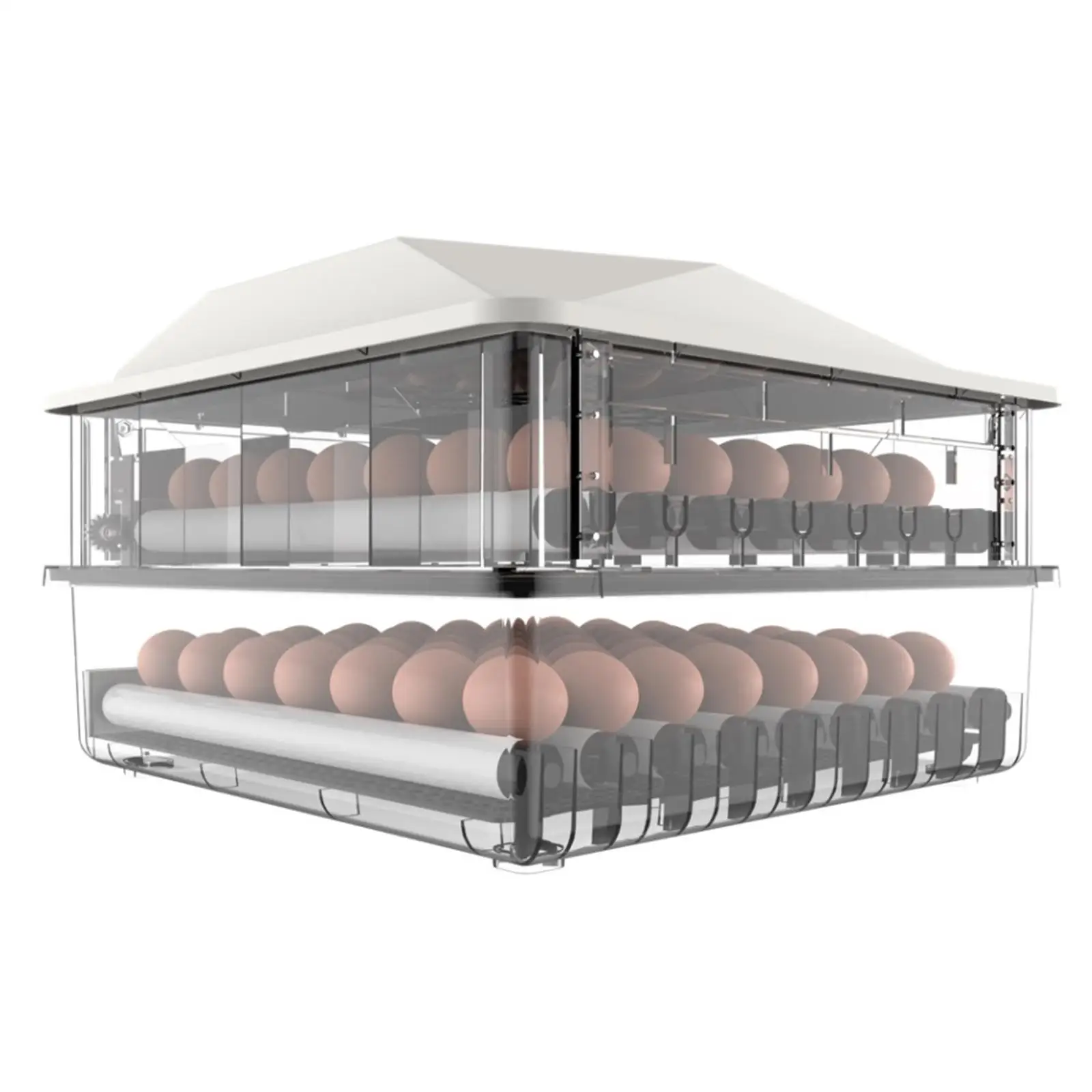 

Household Eggs Incubator Temp Humidity Control Poultry Incubator Electric Hatcher Machine for Hatching Chicks Birds Goose Eggs