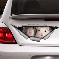 rats decal funny sticker rats car sticker rat sticker pet decal