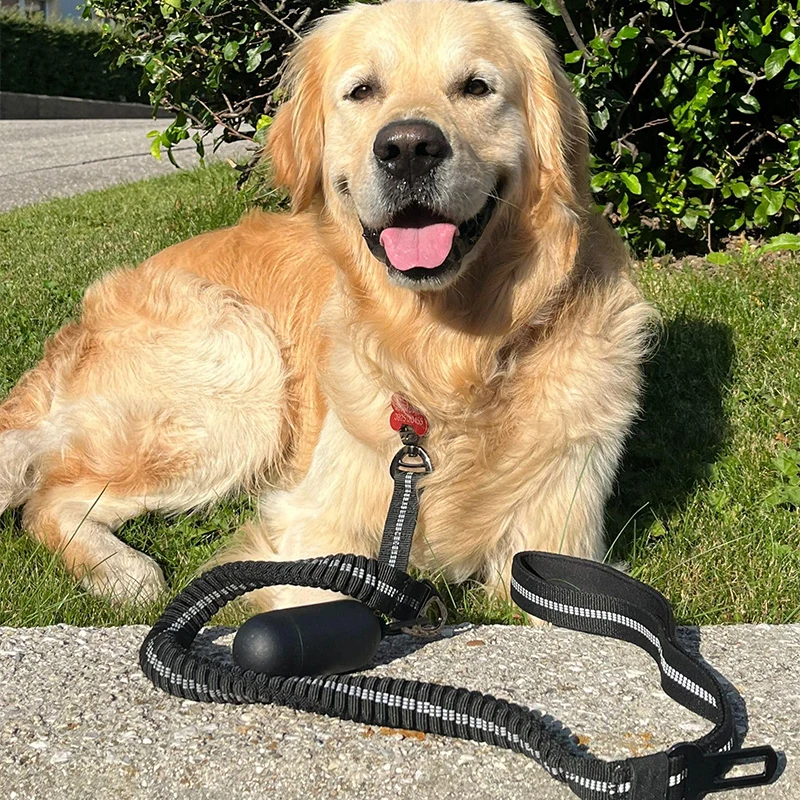 

Нейлоновый Светоотражающий Поводок для домашних животных, 135 см