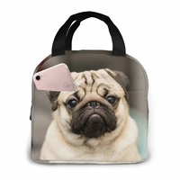cute pug dog have question cooler lunch box portable insulated lunch bag thermal food picnic lunch bags