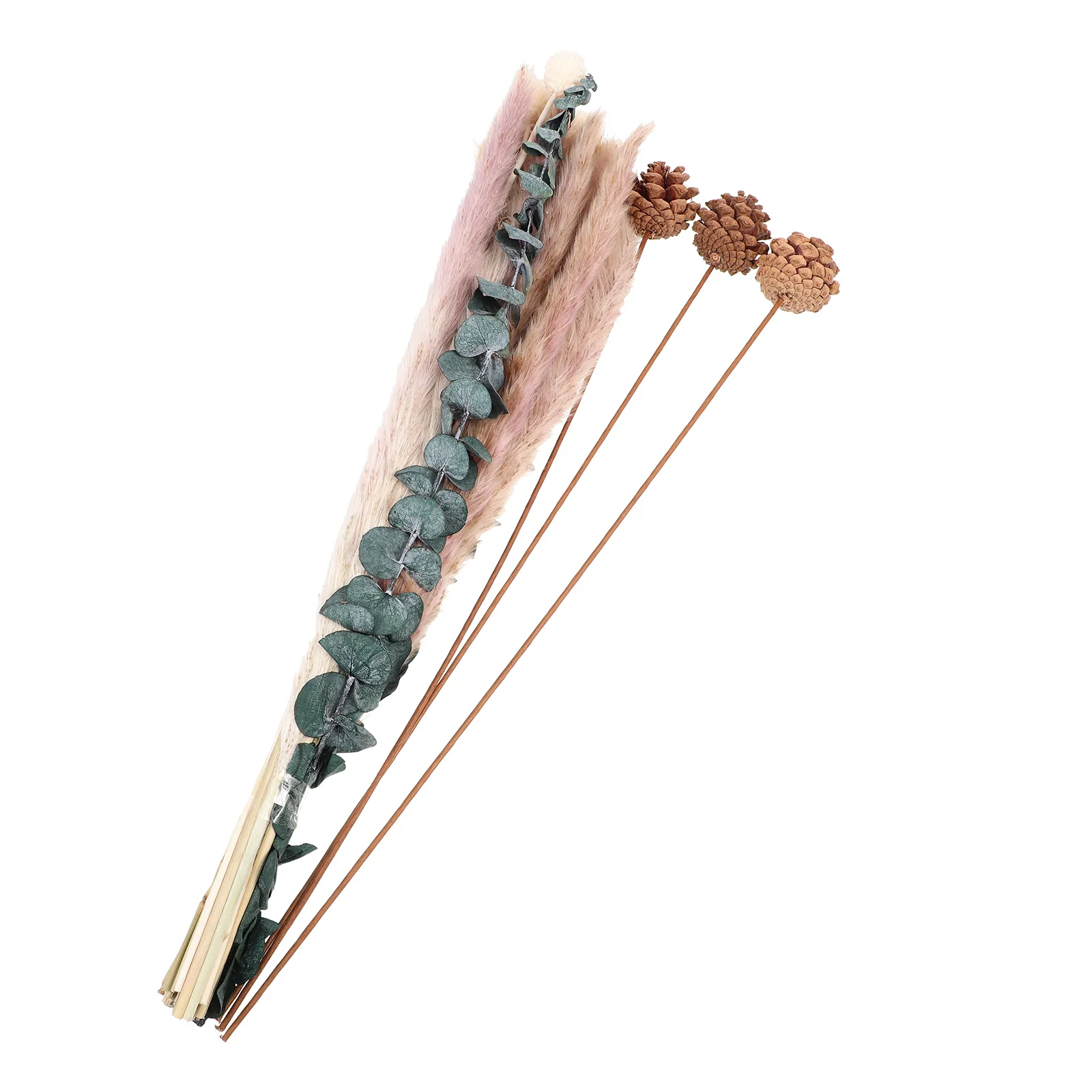 

Wedding Decoration Pampas Grass Pompous Natural Dry Grass Dried Grass Decor Pampas Vase Filler