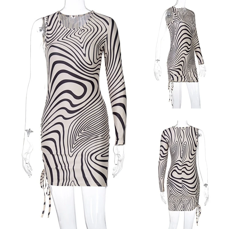 

One Shoulder Zebra Print Skinny Mini Dresses Women Single Sleeve Mesh Fabric Sexy Club Party Street Style Outfits