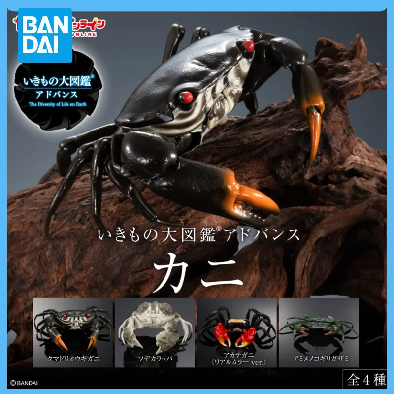 Оригинальный японский гасяпон Королевский краб зеленый хлеб существо атлас