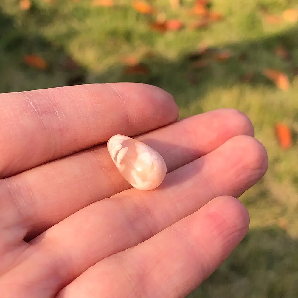 

2 штуки, цветок агата сакуры, вишневый