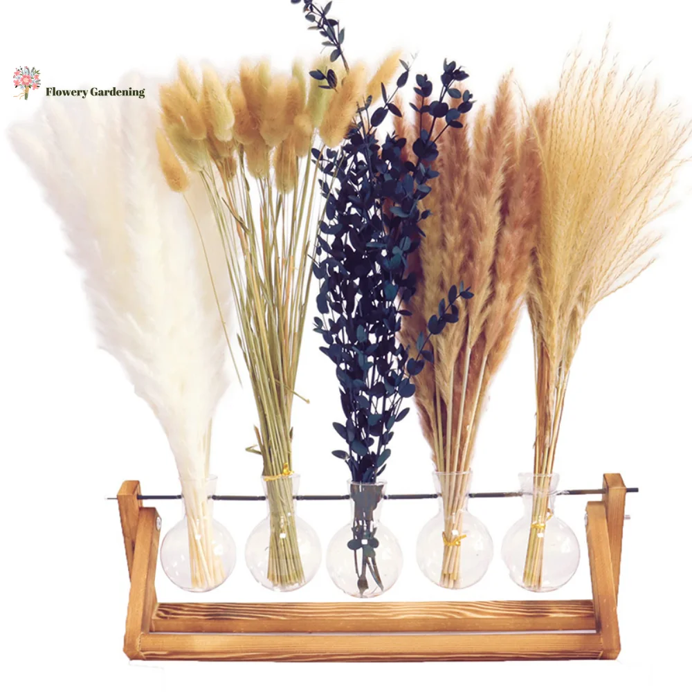 

Pampas Bouquet Natural Dried Eucalyptus For Holiday Gifts Dried Flowers Nordic Wedding Party Decor Boho Home Decor Accessories