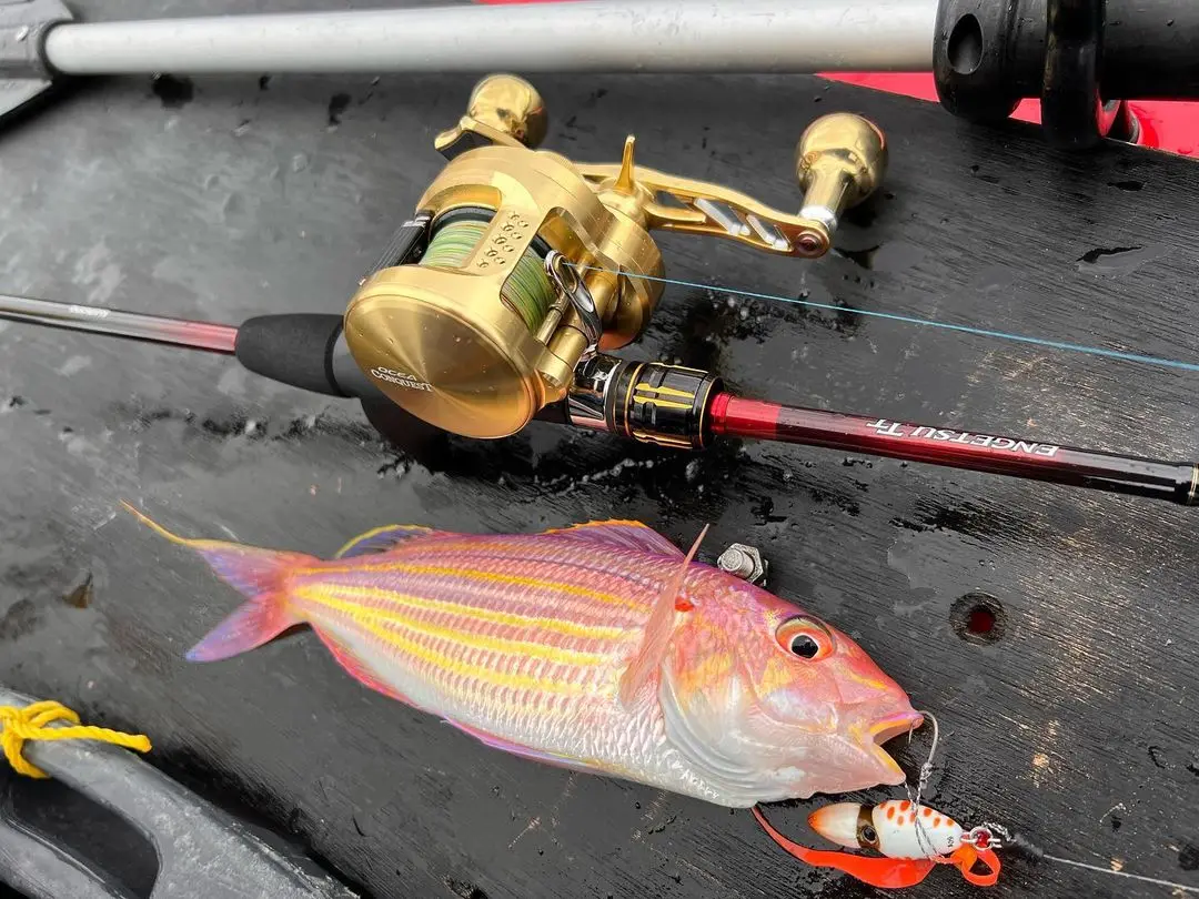 Фото Катушка GOMEXUS с рукояткой для Shimano (7X4 мм) Corvalus Ocea Conquest 200 Curado SLX Metanium Cardiff Reel 120 мм, новые другие №1