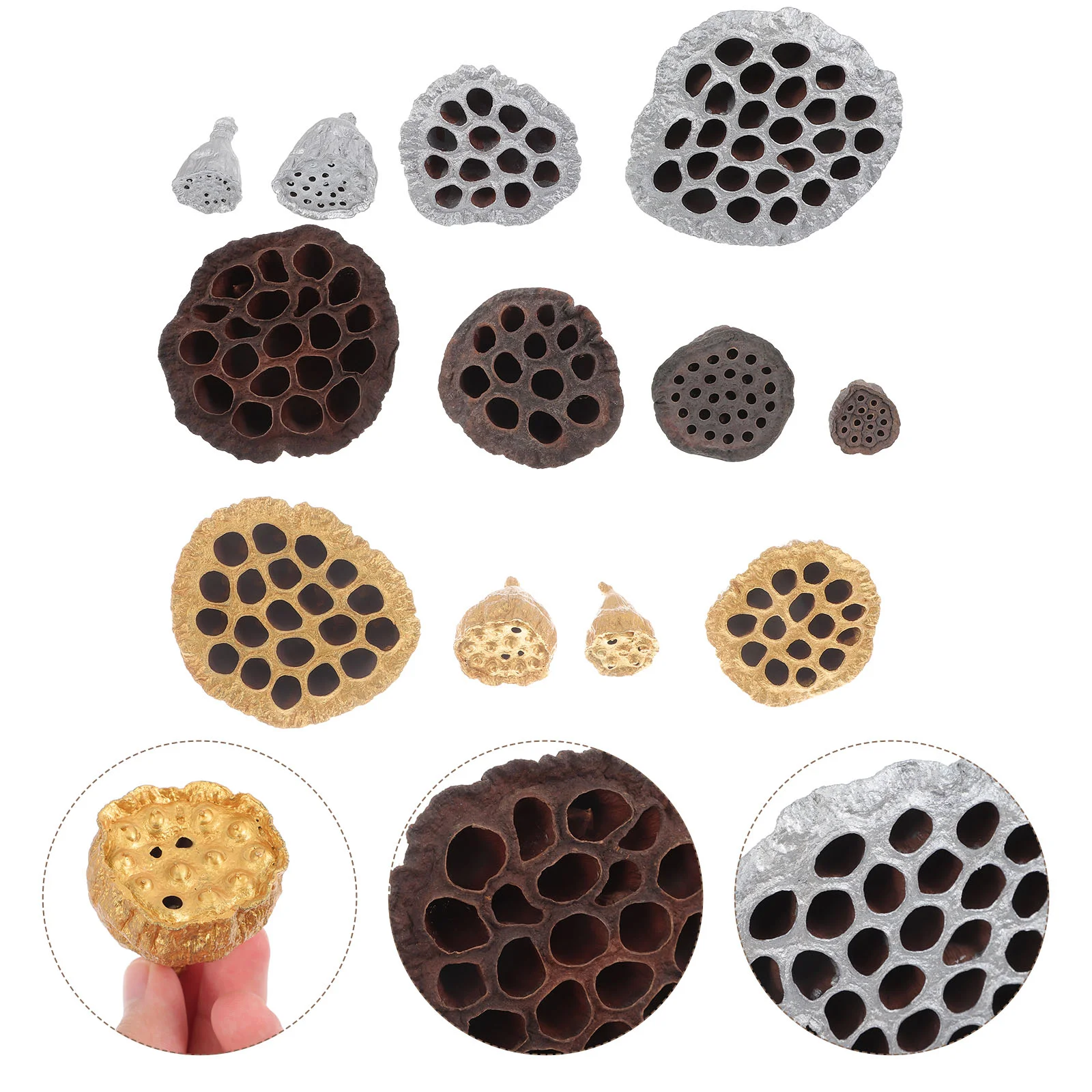 

Lotus Seedpod Home Decor Adornmentchristmas Decors Garden Dried Desktop Statue Decoration