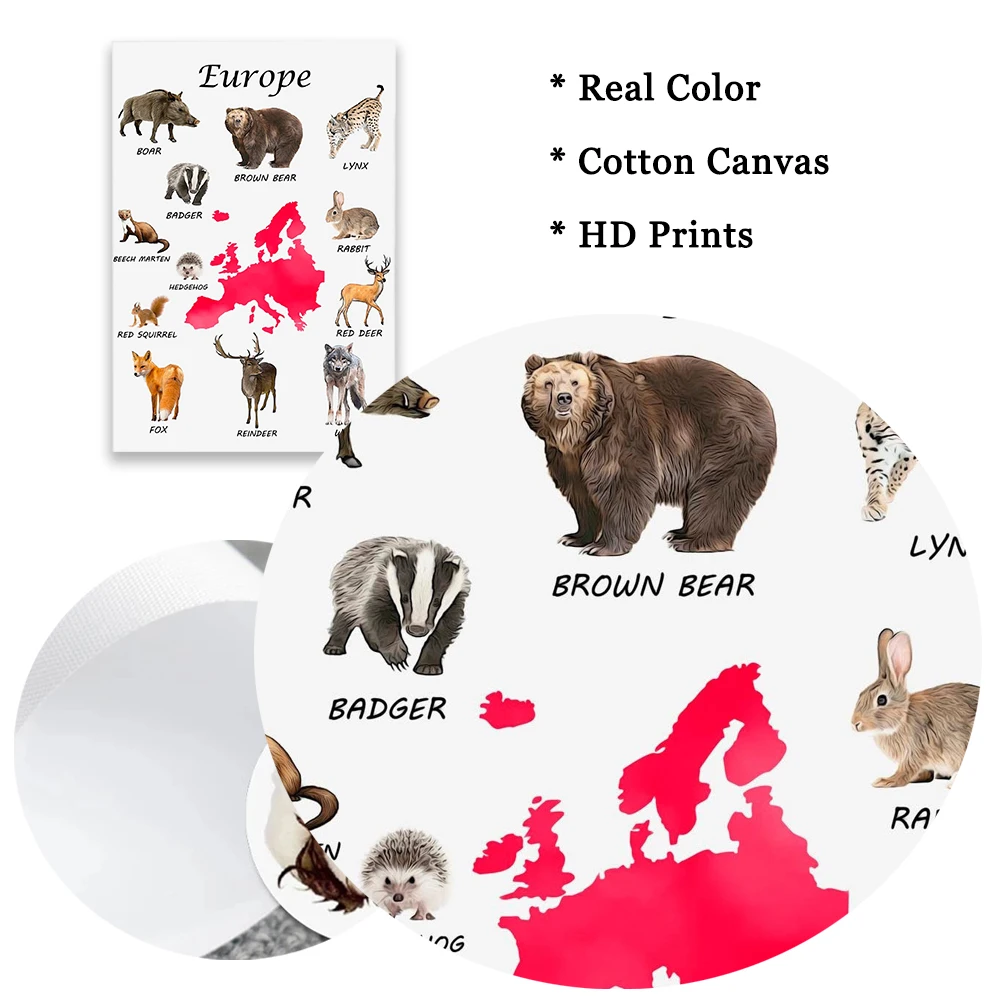 Плакат Южной Америки Антарктика животные принты холст картина декор для