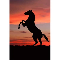5d full drill diamond painting sunset horse shadow by number kits for adults diy diamond set arts craft decorations a0201
