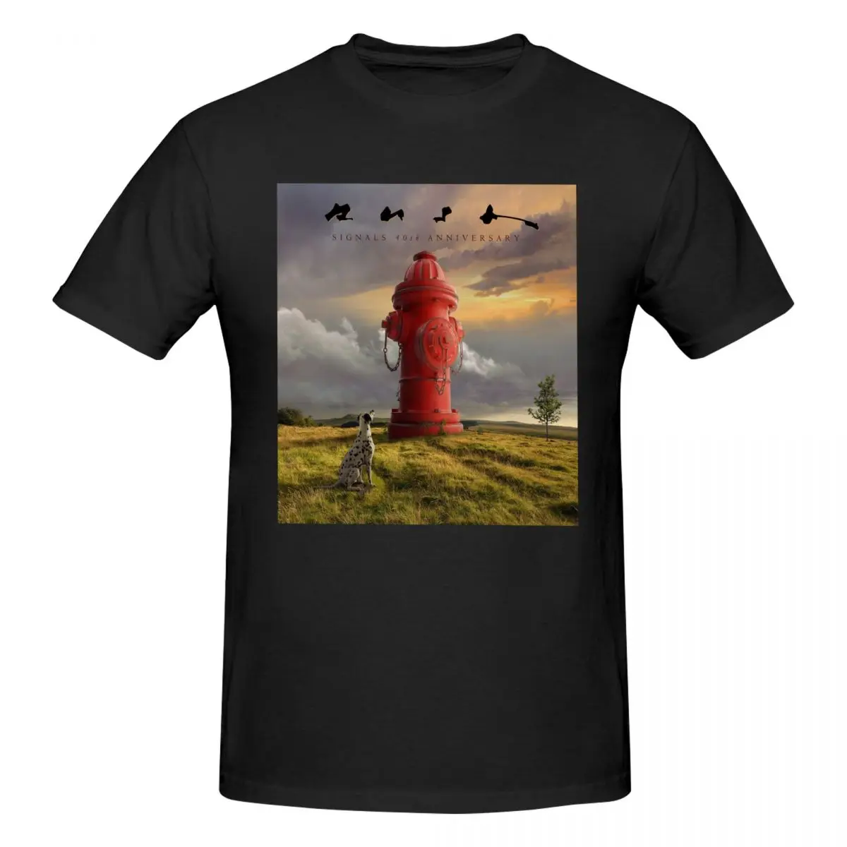 Мужская хлопковая футболка с коротким рукавом и круглым вырезом