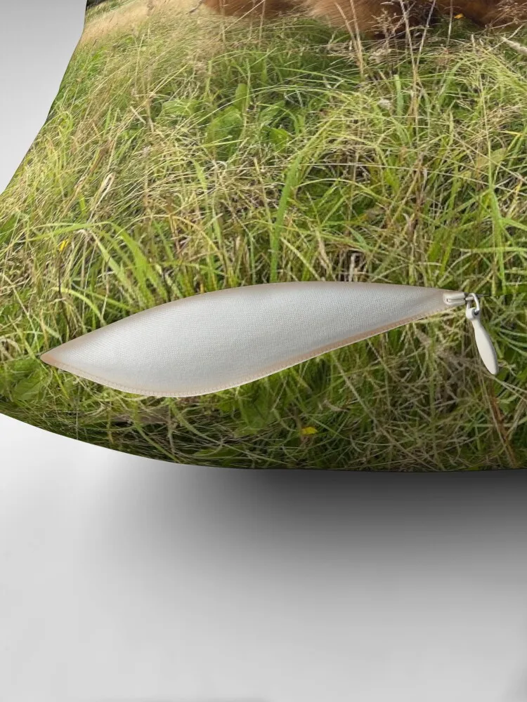 Шотландская корова крупного рогатого скота 2956 декоративная подушка