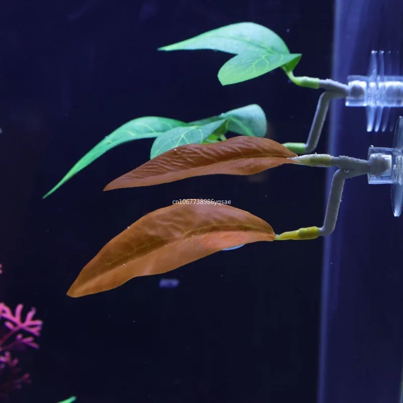 Искусственная кровать для Betta