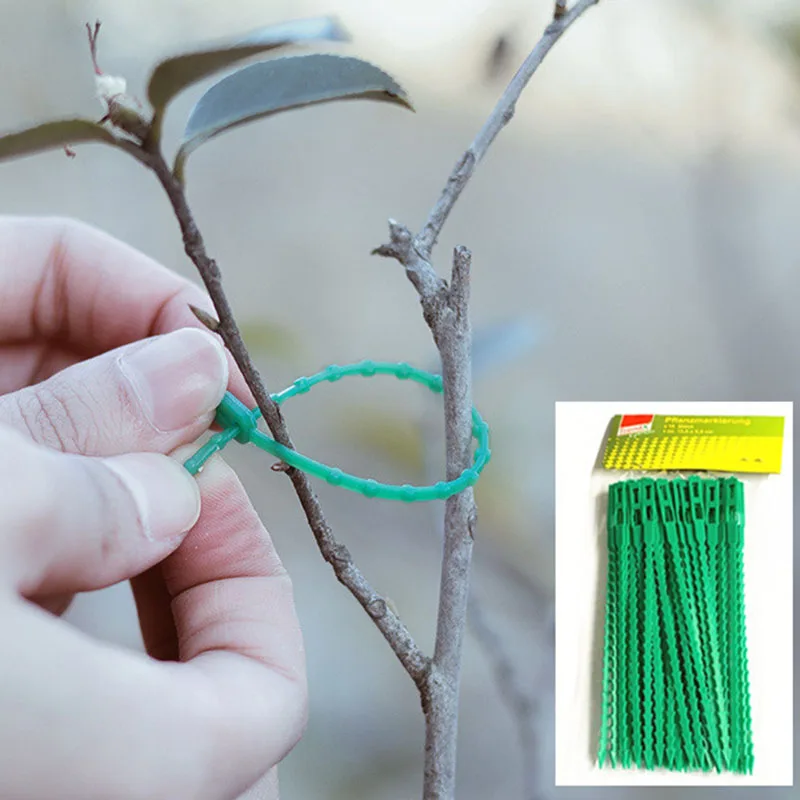 102050100 pcs vine strapping clips for growing upright plant holder green plastic bundled ring garden stand tool vine support free global shipping
