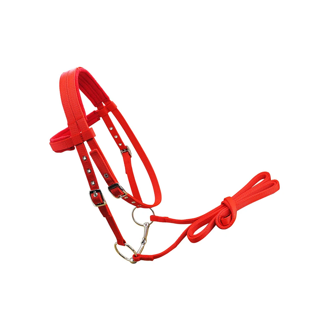 

Animal Bridle Adjustable Outdoor Riding Strap Rein Halter Accessory