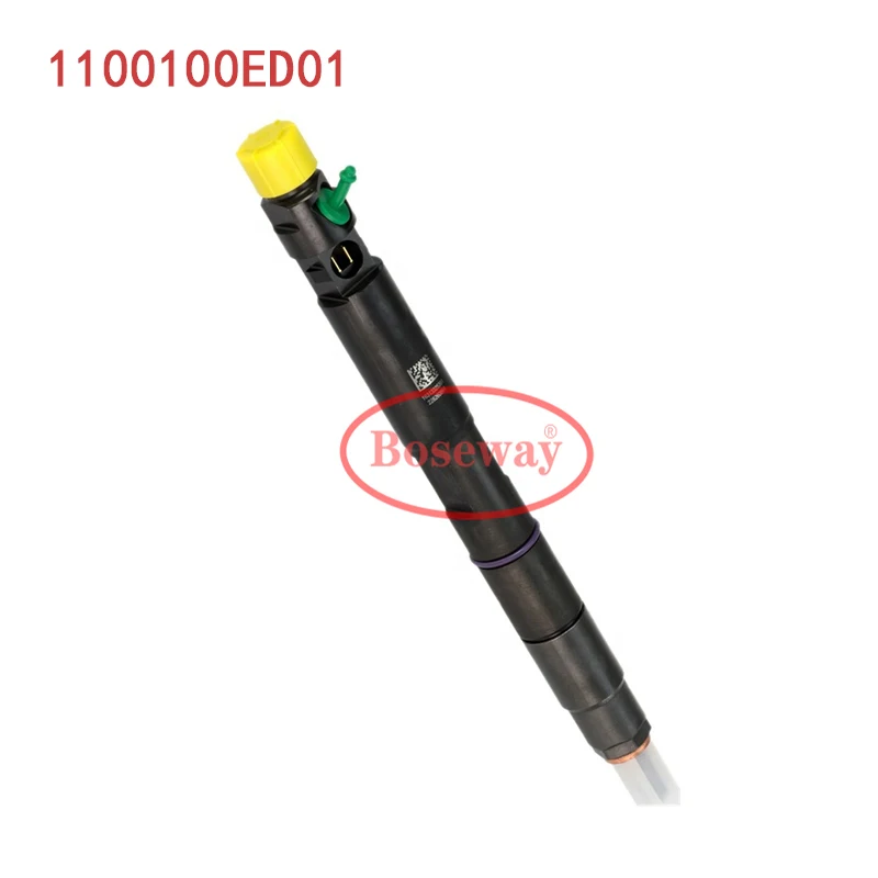 

Common Rail Delphi Injector 1100100ED01