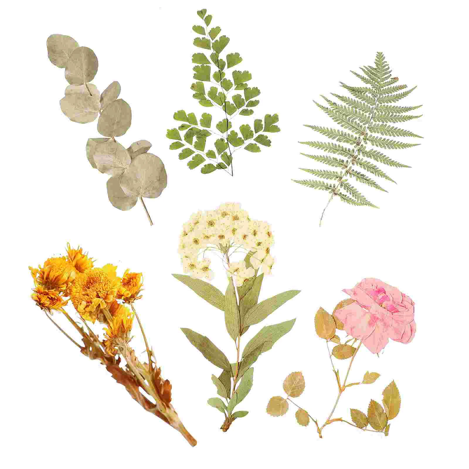 

Scrapbook Stickers Decal Sticker Decorative Diary Delicate Diy Notebook Flower Junk Journal Inspirational Decals Adhesivepet