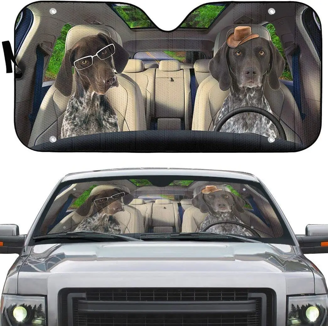 

German shorthaired pointer dog wearing glasses left hand drive car sun visor windshield visor for sun protection