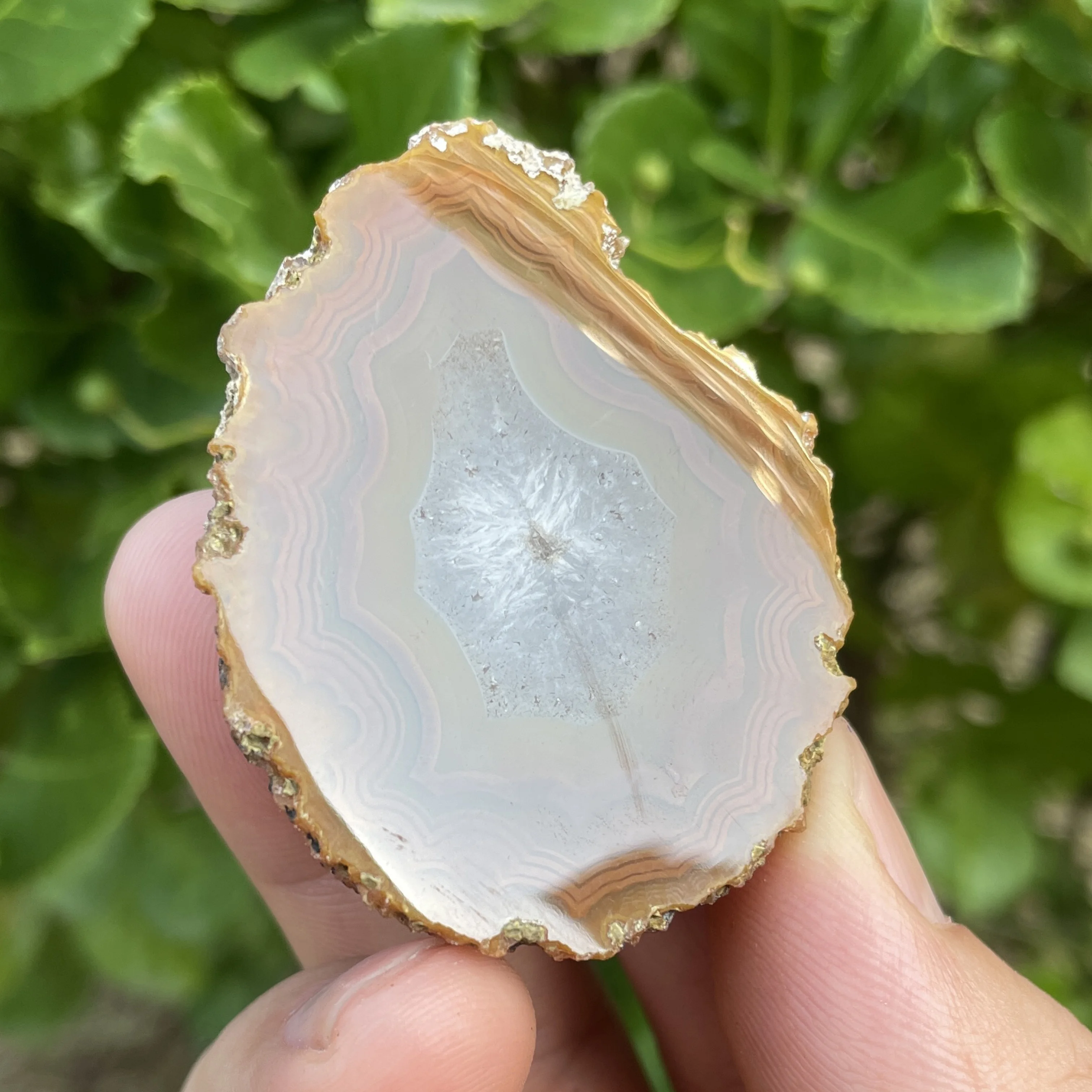 2 шт. натуральный желтый Sardonyx полированный HeBei ZhanGuo красный агат жеод яйцо