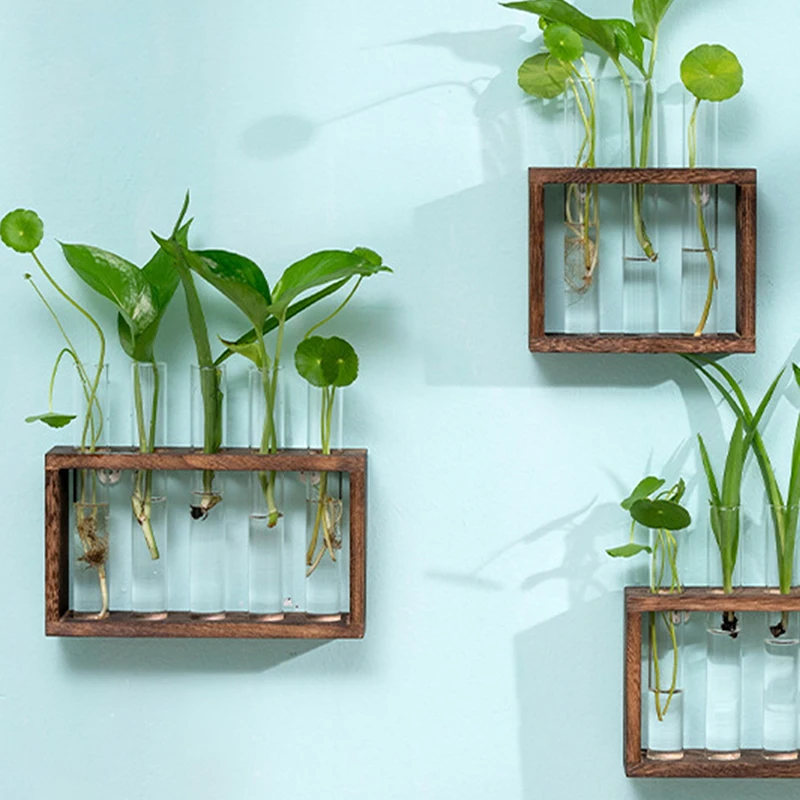 Прозрачный стеклянный контейнер для гидропонных растений в деревянной раме с