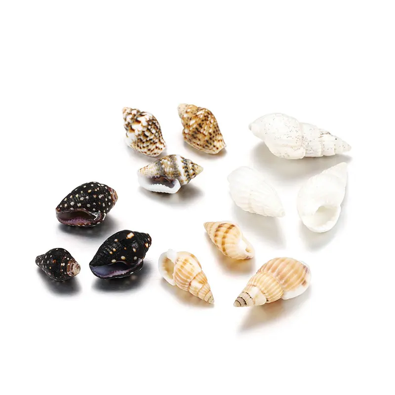 

50g bag mixed shell conch, aquarium landscaping, fish tank decoration, photography diy props, natural scallops