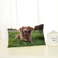 dachshund dog chair pillow cotton linen home decorative pet puppy dogs cute cushion living room car pillows