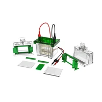 gel electrophoresis equipment rt pcr testing laboratory vertical electrophoresis analyzer