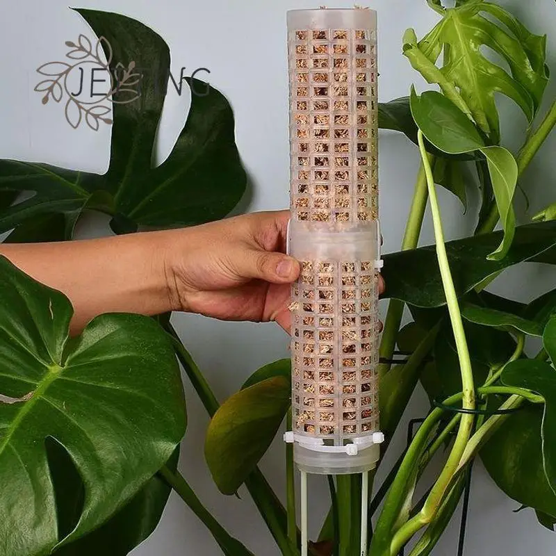 

Plastics Moss Totem Pole Plastics Stackable Stick Sphagnum Moss Pole Moss Stick For Orchid Monstera Flowers Climbing