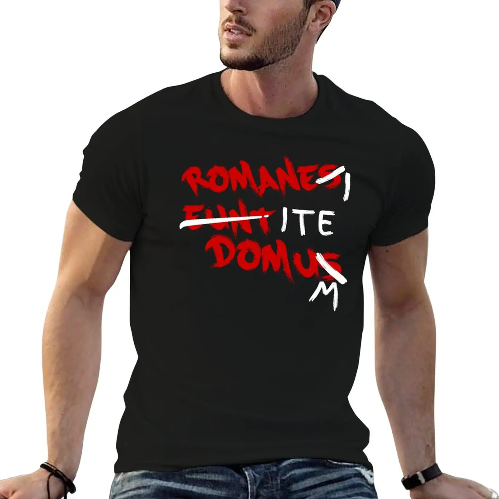 Romanes Eunt Domus - Romans Go Home Футболка для мальчика рубашки с графикой футболки рисунком