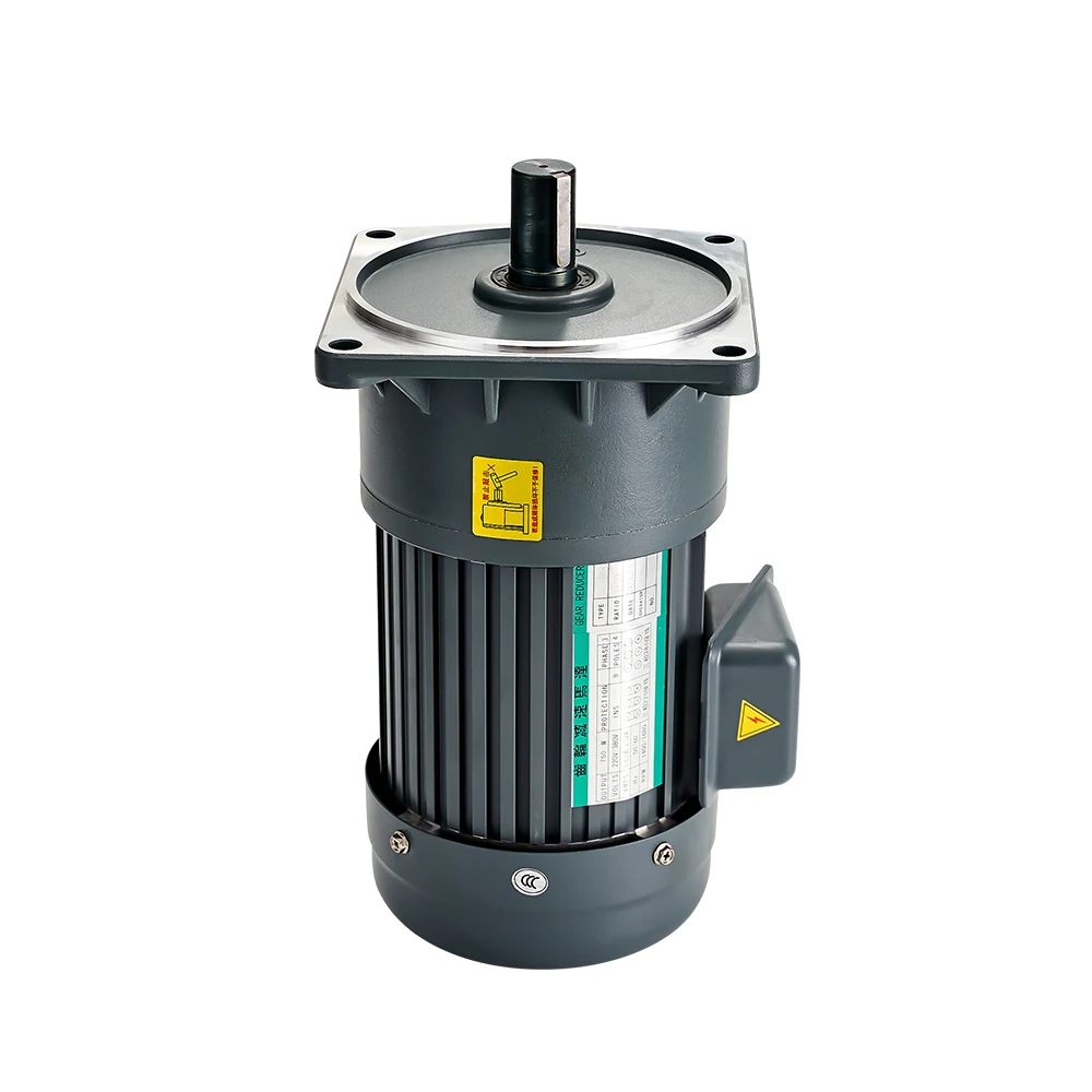 

1/2Hp Asynchronous AC motor 220V low rpm high torque 0.4KW Small Reduction Motor With capacitance
