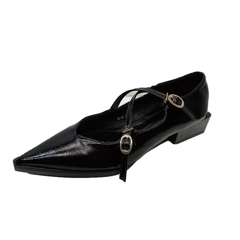 Vintage Style Mary Jane Women's Shoes 2023 Autumn/Winter New French Thick Heel Shallow Mouth Pointed Toe Single Shoe