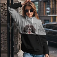 can you see me english springer spaniel 3d printed hoodies unisex pullovers funny dog hoodie casual street tracksuit