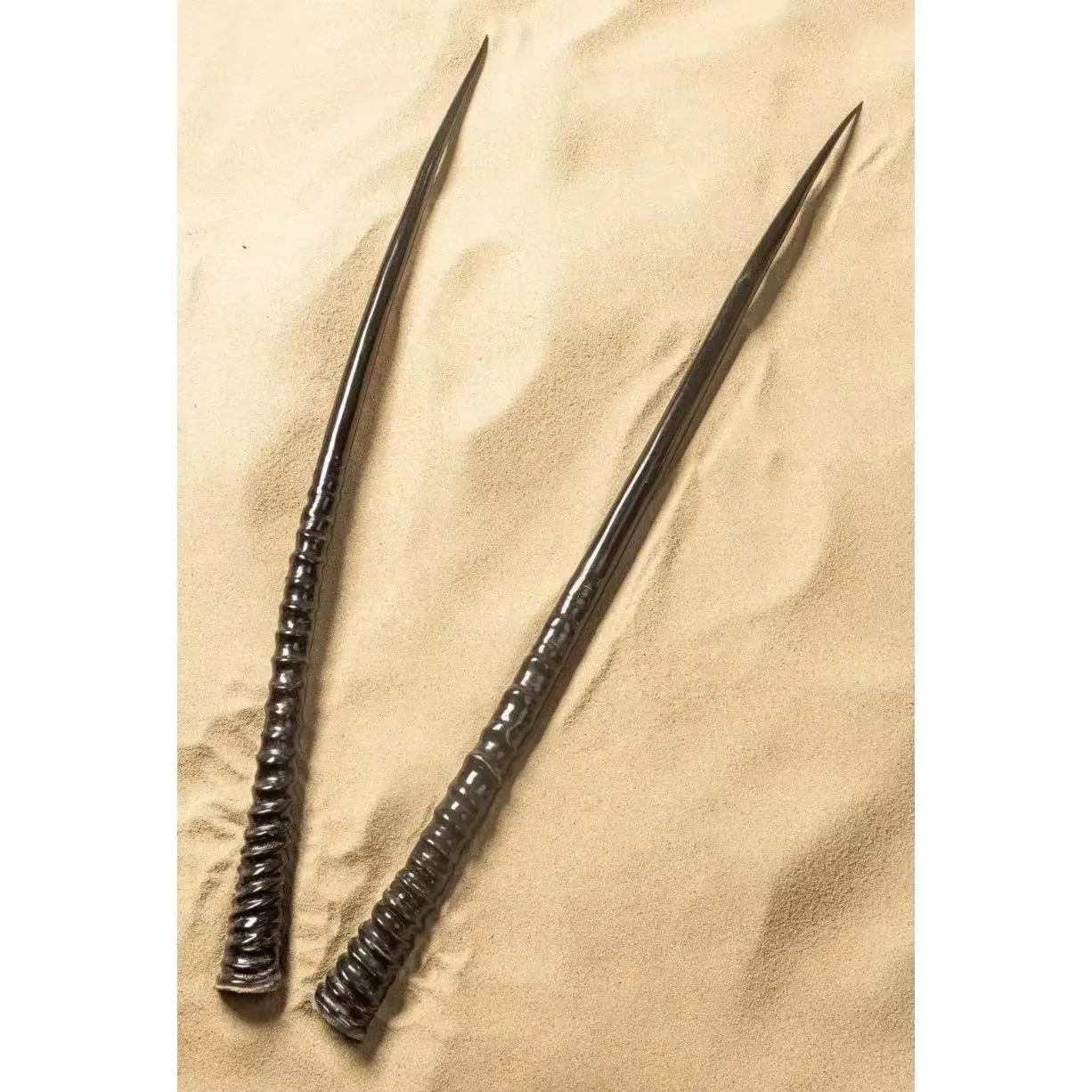 South Africa Imported African Oryx Horn Background Wall Wall Hanging Decoration Bar Artifact Nordic Style Collection Gifts