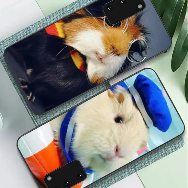 

cute Guinea pig Phone Case for Samsung S10 21 20 9 8 plus lite S20 UlTRA 7edge
