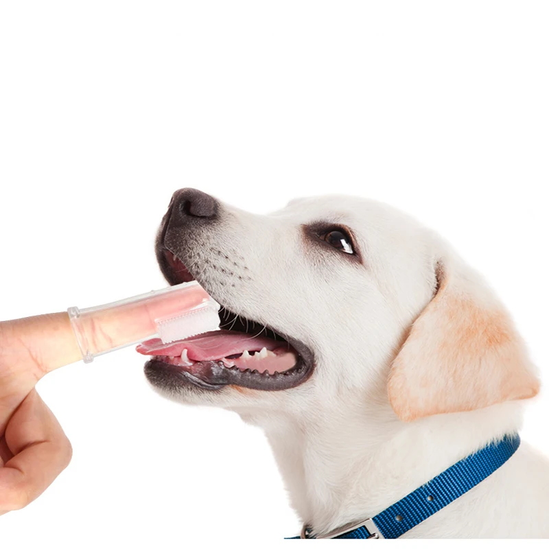 Cepillo de dientes de dedo para mascotas, herramienta de sarro de mal aliento, supersuave, suministros de limpieza para perros y gatos, 3 piezas