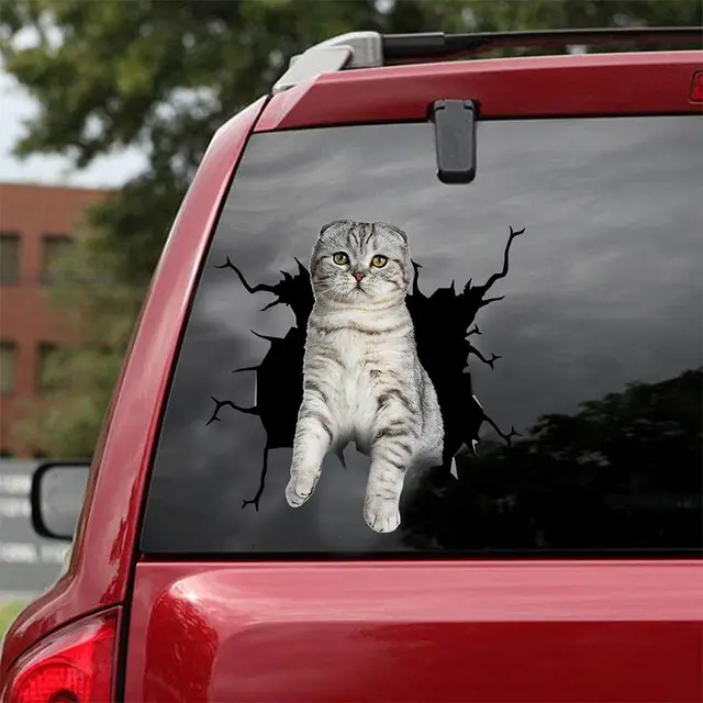 Наклейка на авто котик