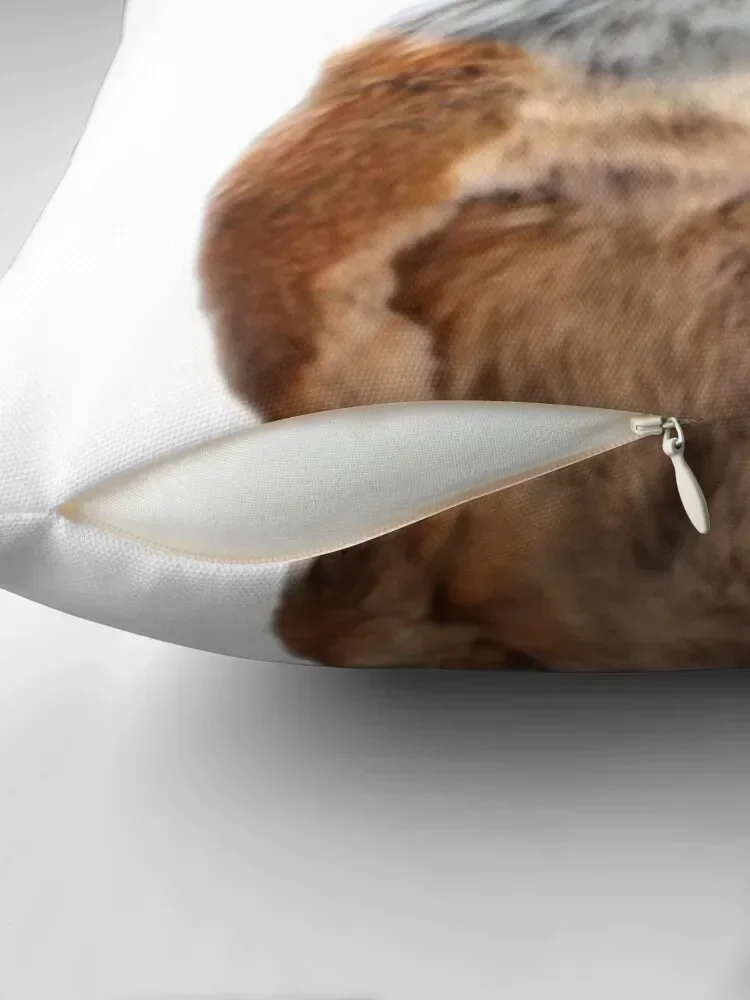 GEOFF STONED FOX TAXIDERMY MEME ADELE MORSE Декоративная подушка Рождественская наволочка