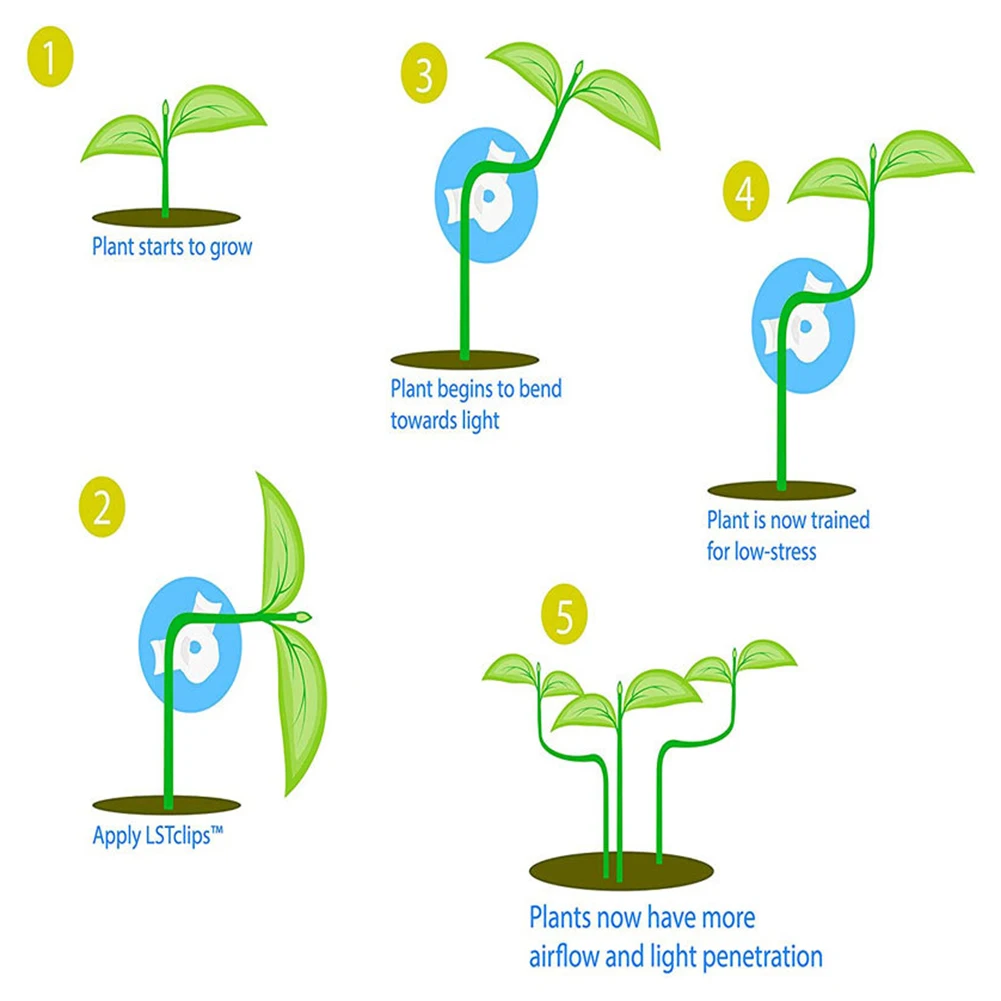 

Tool Plant Branch Bender 20pcs 360 Degree 4*1cm/1.57* 0.4 Inch Clips Control The Growth Low Stress High-quality PP