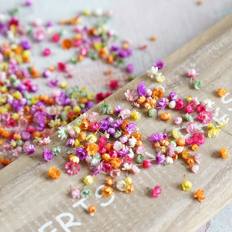 

140pcs/1g Dried Flowers Filler Brazil Little Star Flower DIY Art Craft Epoxy Resin Mold Jewelry Aromatherapy Candle Making