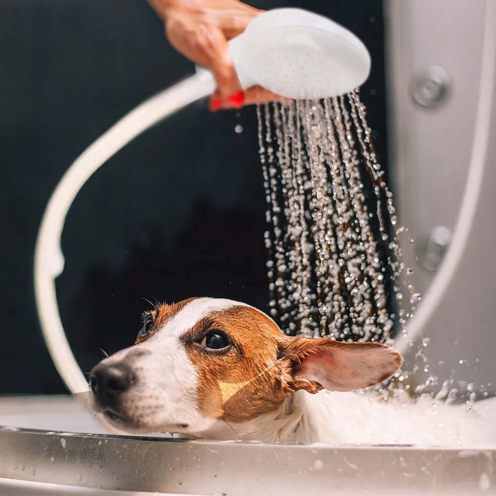 

Pet Dog Cat Shower Head Multi-functional Tap Faucet Spray Drains Strainer Hose Sink Washing Hair Pets Lave Water Bath Heads 1.3m