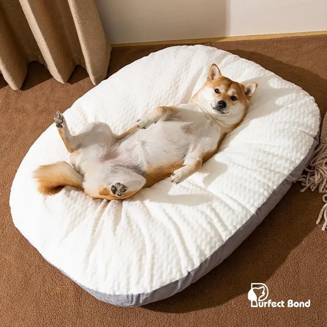 

Oval shape Cushion Large Dog Bed Comfortable Washable Dog Beds for Large Dogs Dog Kennel Beds for Crates Free Shipping
